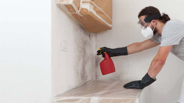 Professional Crawl Space Mold Removal technician working in New Braunfels, TX