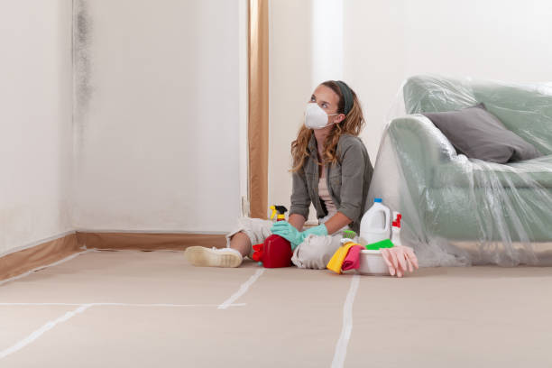 Reliable Mold Remediation contractor in New Braunfels, TX by Cheap Mold Removal